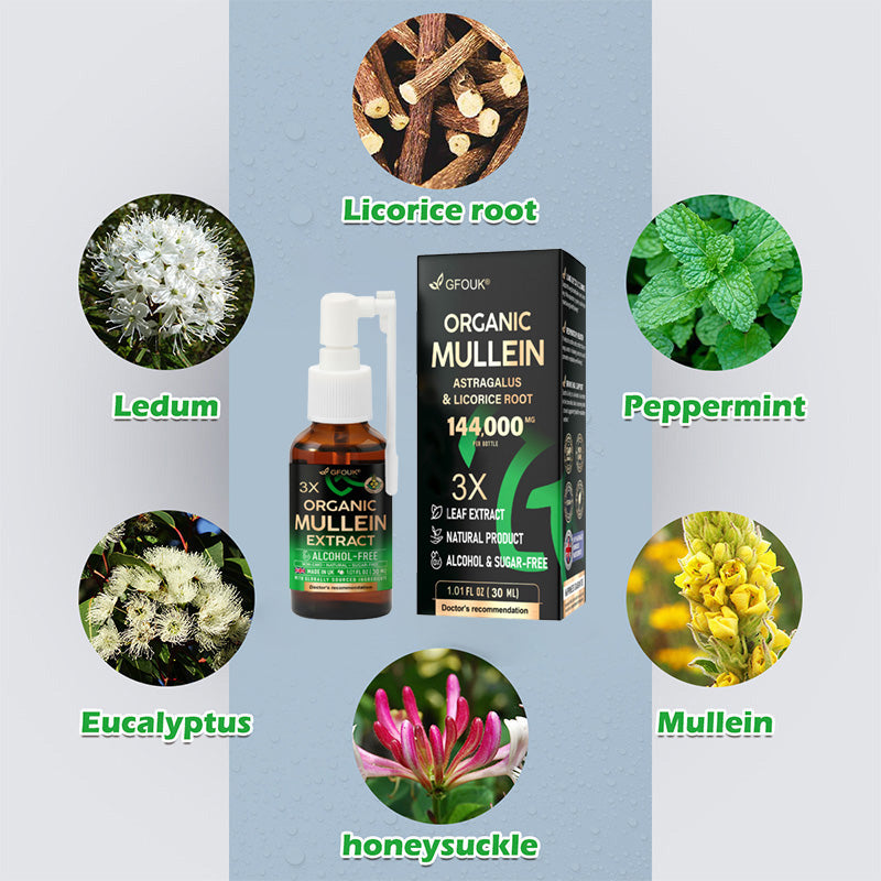 😍 💖GFOUK®3X Concentrated Mullein Lung Cleanse Spray —Difficulty coughing up phlegm, shortness of breath, excessive mucus, bronchitis, and lung infections