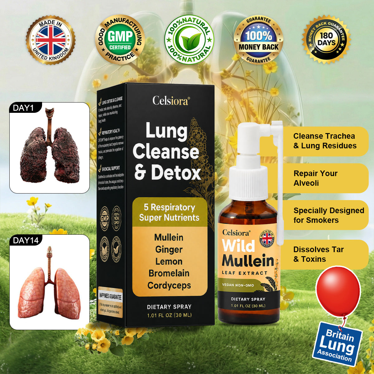 😍 ✨Celsiora® New Maximum Potency Mullein Spray (Helps relieve difficulty coughing up phlegm, shortness of breath, excessive mucus and lung infections)