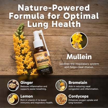 😍 ✨Celsiora® New Maximum Potency Mullein Spray (Helps relieve difficulty coughing up phlegm, shortness of breath, excessive mucus and lung infections)