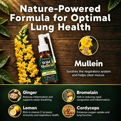😍 💝Celsiora® Wild Mullein Leaf Extract Lung Cleanse Spray